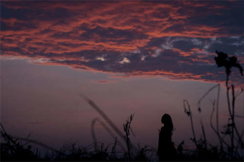 莫言的《蛙》：一部身不由己的女性荒唐生育史 莫言蛙简介