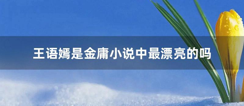 王语嫣是金庸小说中最漂亮的吗 (金庸小说中云想衣裳花想容指的是王语嫣吗)