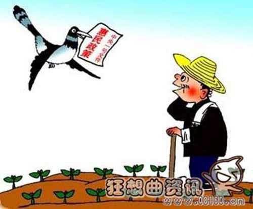 种地大户现在国家怎样补贴