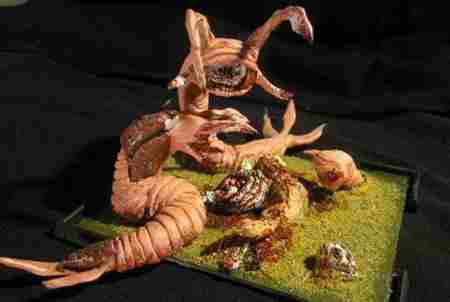 蒙古死亡蠕虫真的存在吗