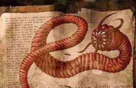 蒙古死亡蠕虫真的存在吗