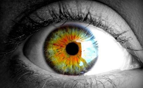 贝茨视力训练恢复法是真的