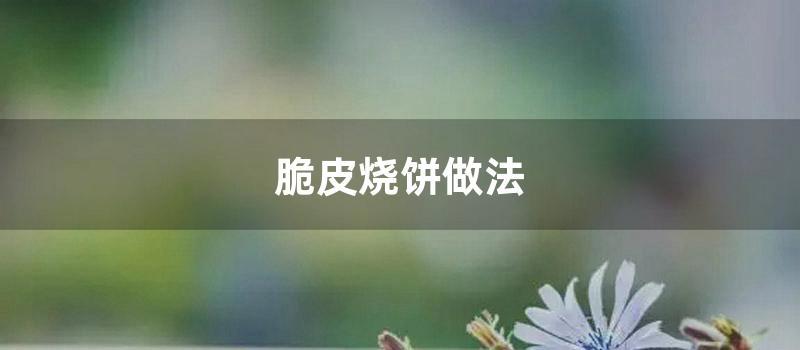 脆皮烧饼做法 (烧饼怎么做又香又脆)