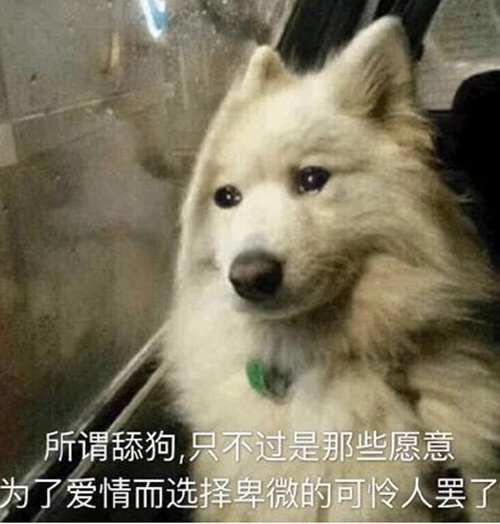 请问网络词 舔狗是什么意思