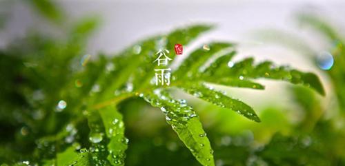 谷雨是什么意思 谷雨的含义