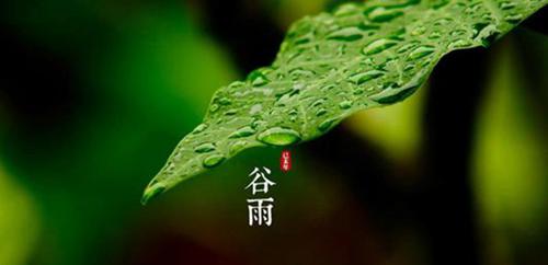 谷雨是什么意思 谷雨的含义