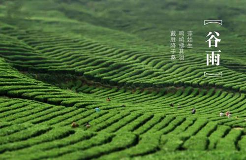谷雨是什么意思 谷雨的含义