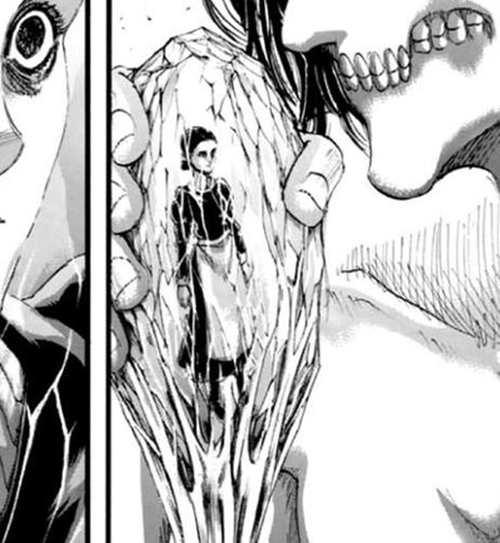 进击的巨人 九大巨人情报全解析 最全 最详细