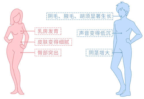 为什么不能摸男朋友的喉结 摸男生喉结意味着什么