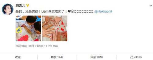 胡杏儿三胎生子