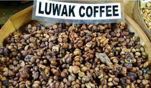 世界上最贵的咖啡豆多少钱