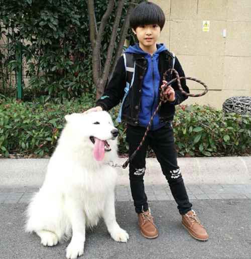 平儿魏之皓是男孩还是女孩？