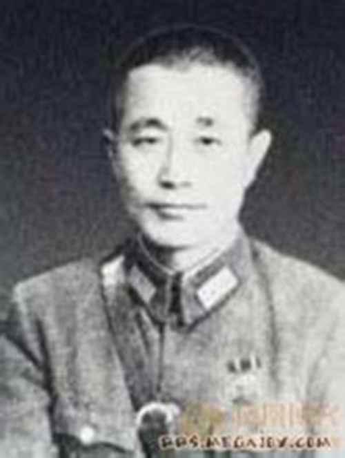 国民党十大将军的简历
