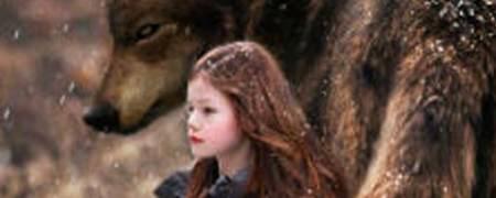 暮光之城蕾妮斯梅为什么被烙印了