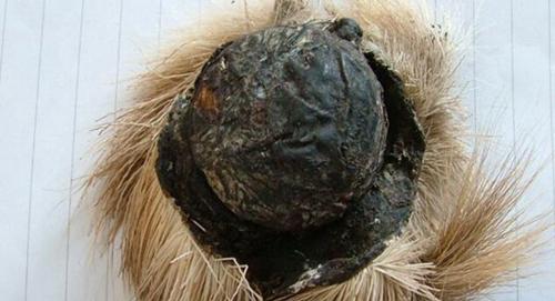 中国十大珍贵中药材