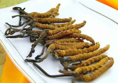 中国十大珍贵中药材