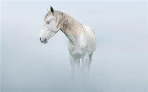 教你如何赚钱 这套方法可套用任何项目