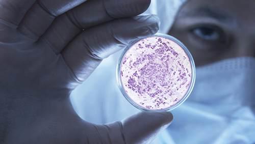 兰州布病是什么病