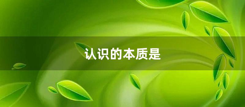 认识的本质是 (辩证唯物主义认识的本质是)