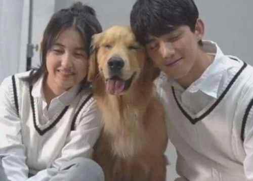 吴磊张子枫是什么关系