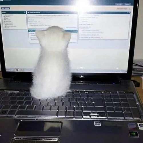 一看就是在好好学习的头像