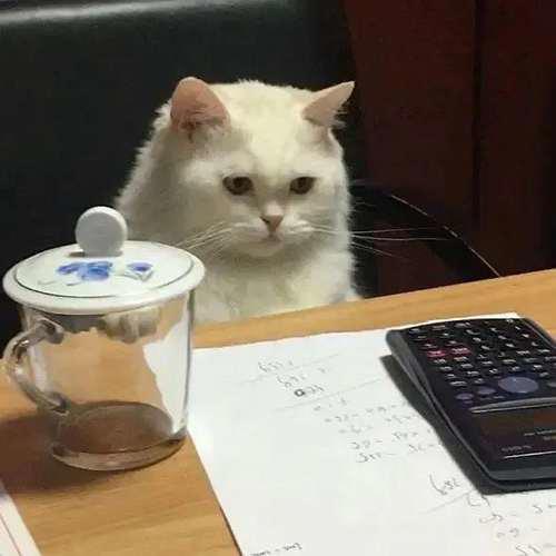 一看就是在好好学习的头像