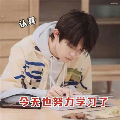 一看就是在好好学习的头像