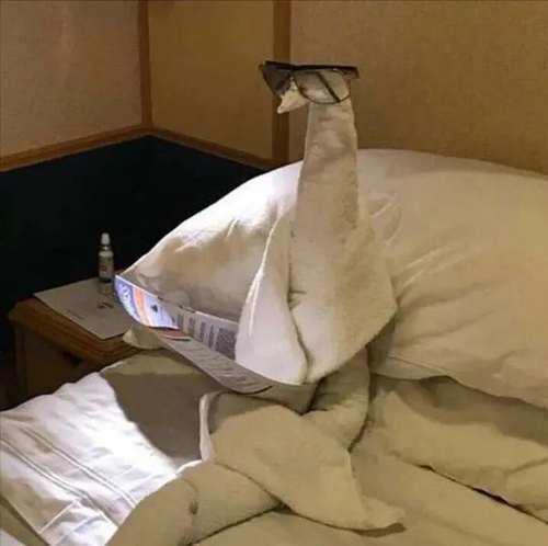 一看就是在好好学习的头像