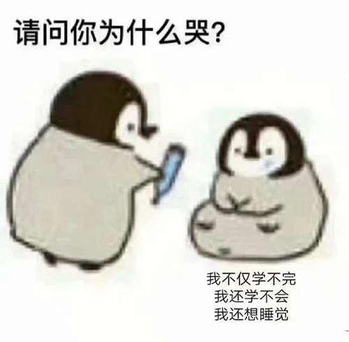一看就是在好好学习的头像