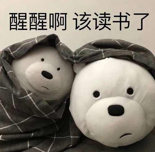 一看就是在好好学习的头像