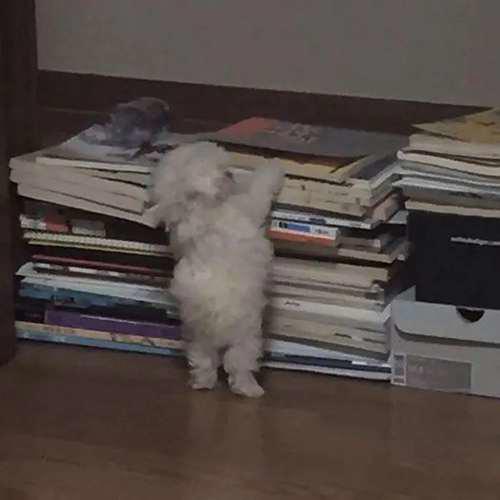 一看就是在好好学习的头像