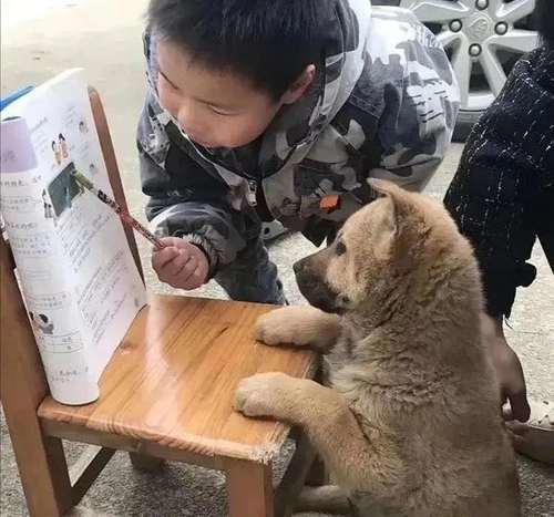 一看就是在好好学习的头像