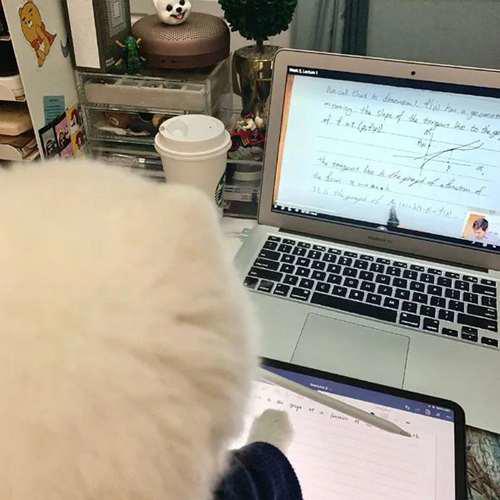 一看就是在好好学习的头像