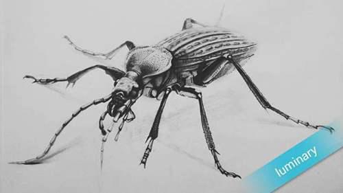 儿童学画画基础入门教程 画画入门教程