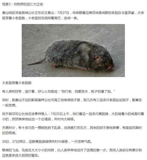 唐山大地震的灵异事件