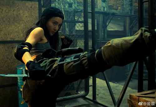 金晨和贾乃亮是什么关系是情侣吗