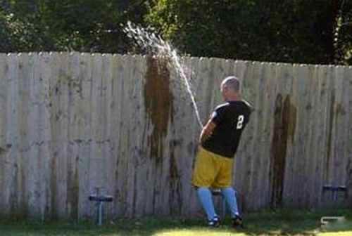 十大世界吉尼斯性记录