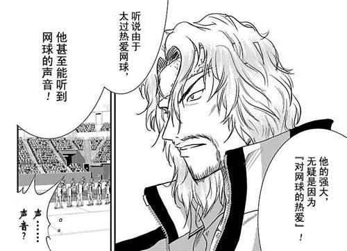 新网球王子 天衣无缝之极致究竟是什么