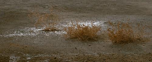 2013年度十大佳片 2013好莱坞大片