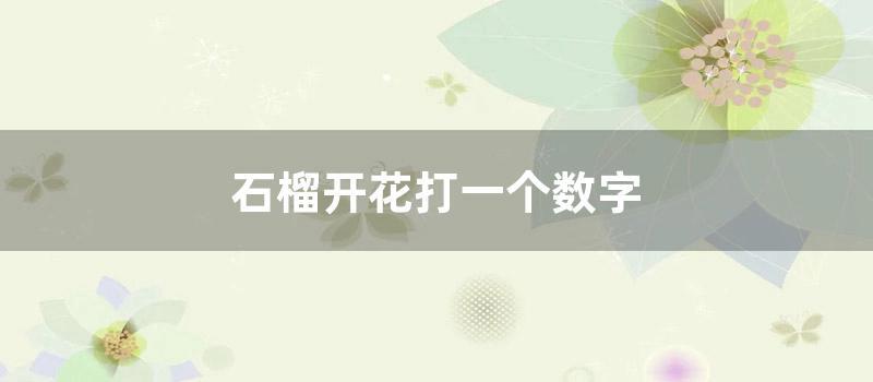 石榴开花打一个数字 (石榴开花了一朵朵挂满了枝头)
