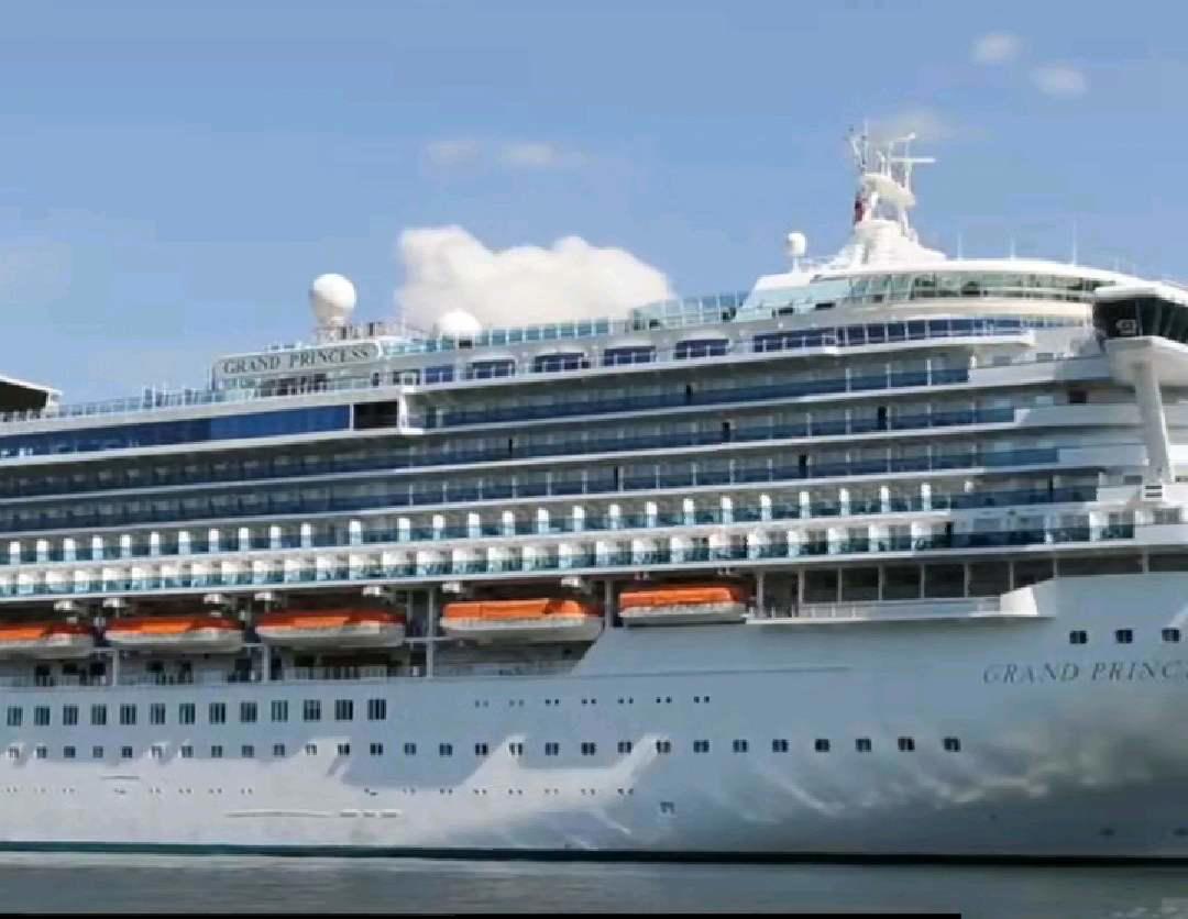 又一艘公主号邮轮发生疫情 网友吐槽 公主这个名字取得不好