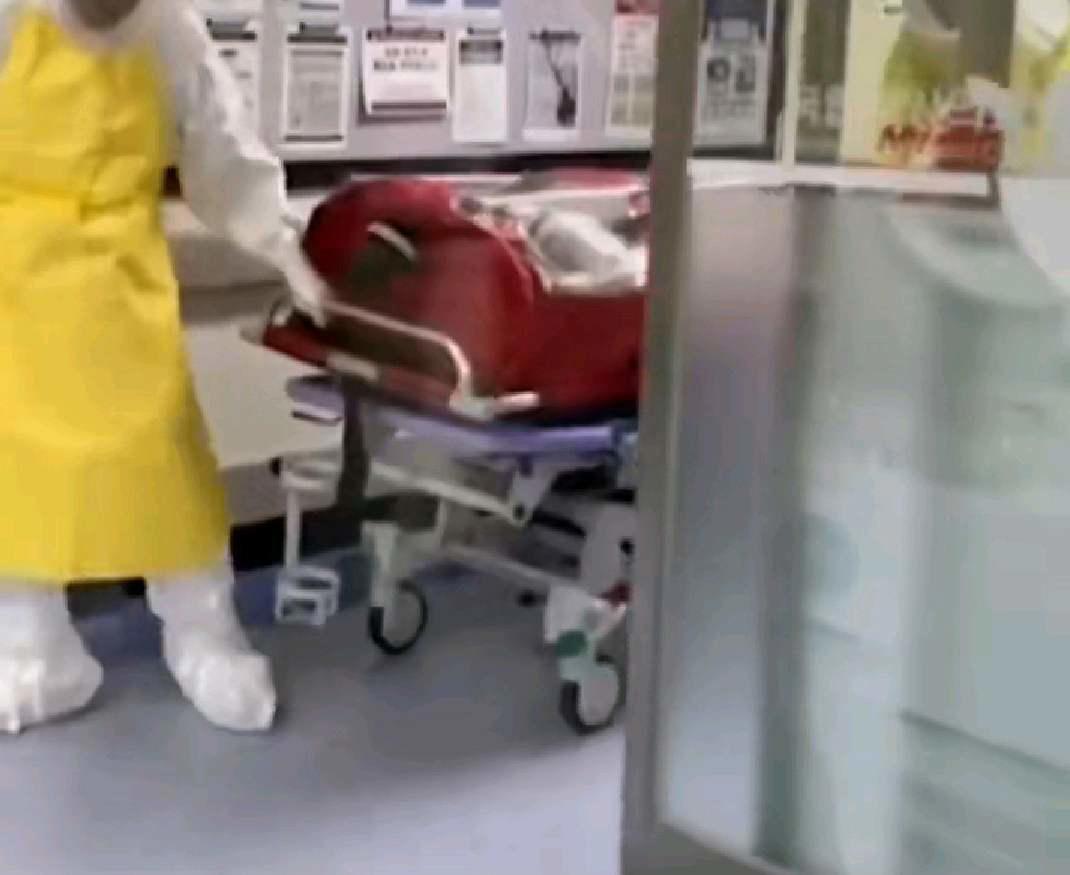 又一艘公主号邮轮发生疫情 网友吐槽 公主这个名字取得不好