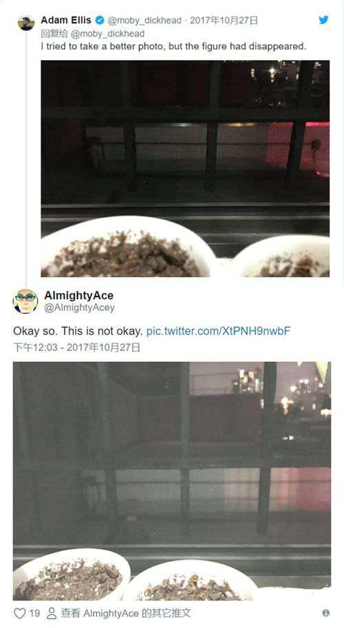 推特上发生的真实事件 亲爱的大卫 DearDavid