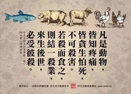 索达吉堪布 放生功德甘露妙雨 杀生救杀因果介绍及放生仪轨