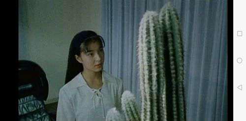 女虐日本R血腥恐怖电影