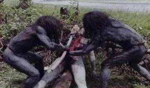 亚马逊食人族是真的吗