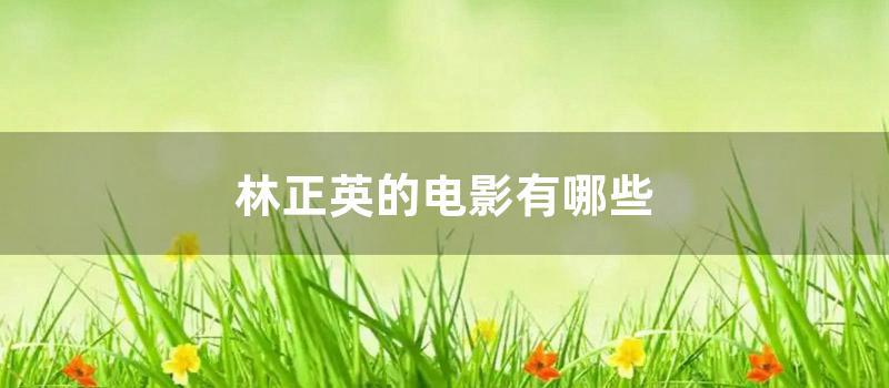 林正英的电影有哪些 (太阳之子林正英电影)
