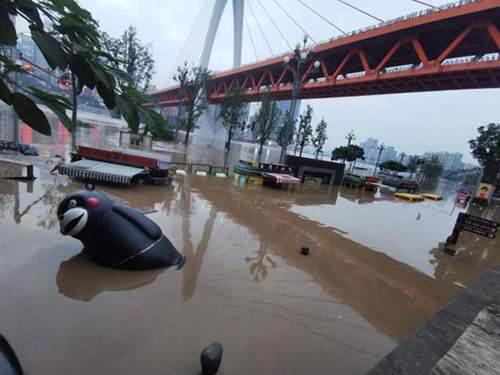 重庆熊本熊还在漂流