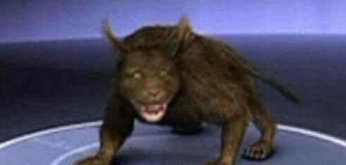 世界十大恐怖怪兽之谜