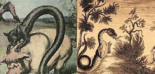 世界十大恐怖怪兽之谜